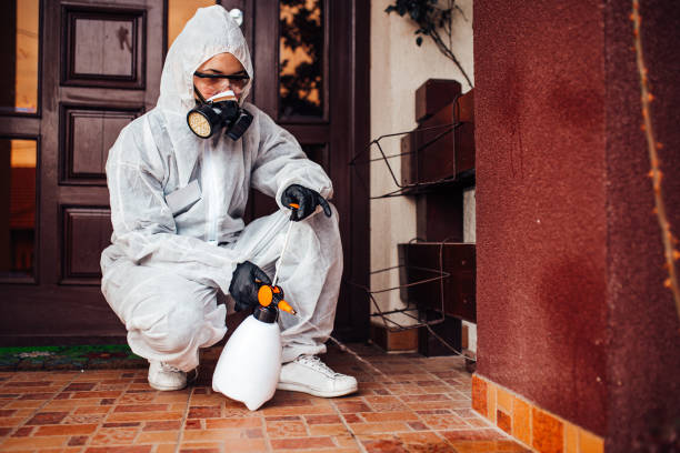 Reliable Bed Bug Control contractor in Haymarket, VA by Nex Pest Control