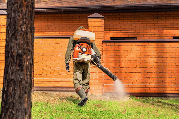 Trusted Emergency Pest Control service in Haymarket, VA - Nex Pest Control